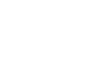 Evolution games at Wisho Casino